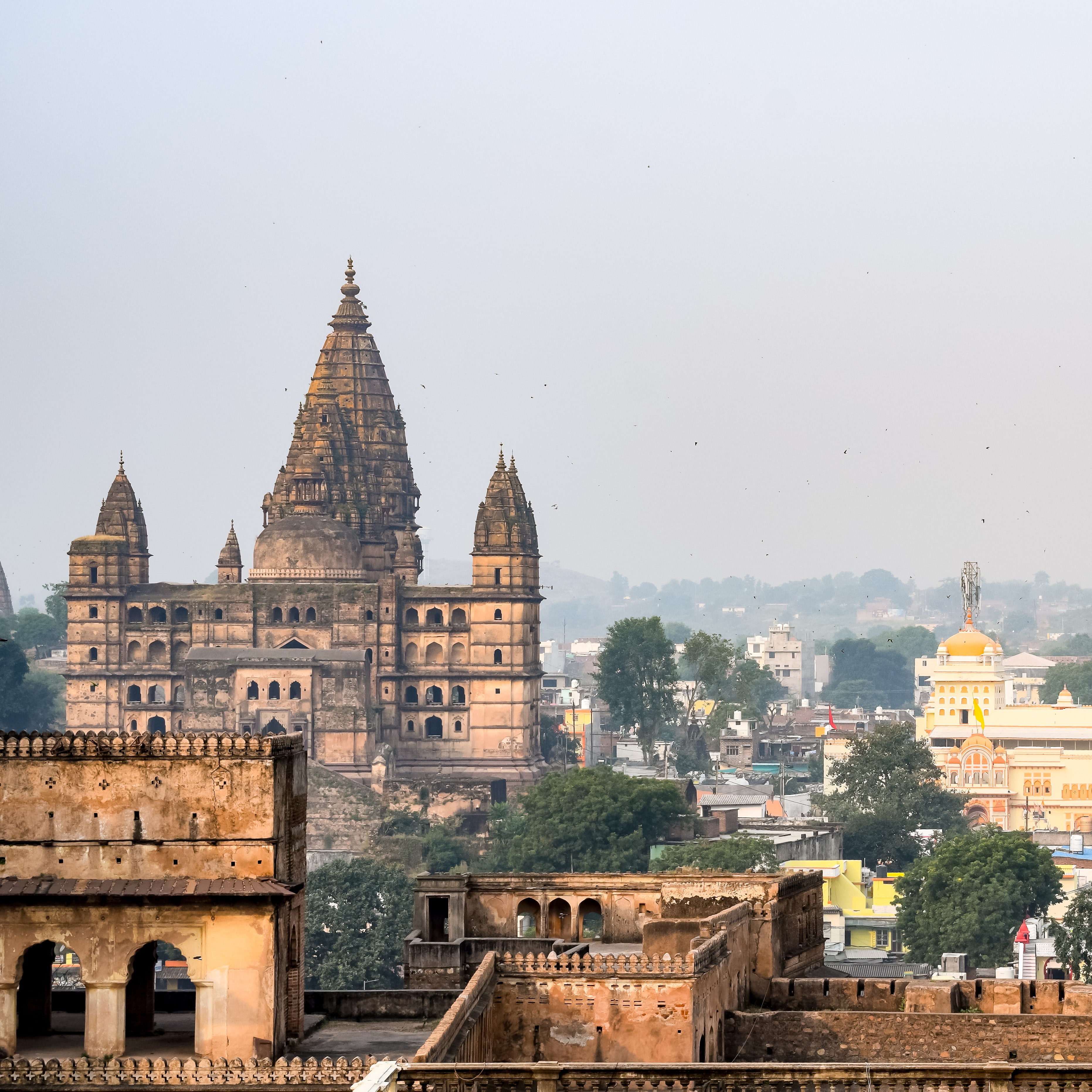 madhya pradesh